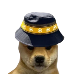 Logo BNB DOGE